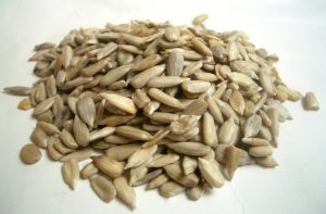 seeds